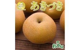 【ふるさと納税】【先行予約限定】 茨城県産【あきづき梨】約5kg【茨城県共通返礼品　かすみがうら市産】※2024年8月下旬〜9月下旬頃に順