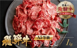 【ふるさと納税】【訳あり】 [A5等級] 飛騨牛 切り落とし 1kg | 500g × 2 計 1kg 小分け 牛肉 肉 和牛 国産牛 肉 焼肉 すき焼き a5 不揃