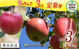 【ふるさと納税】旬のりんご 【 定期便 】 秀〜特秀 3kg × 3回 丸山りんご園 沖縄県への配送不可 2024年10月上旬頃から2024年12月下旬頃