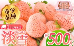 【ふるさと納税】【1月以降発送】淡雪 約500g ｜ フルーツ 果物 いちご 淡雪 熊本 玉名