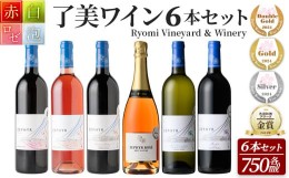 【ふるさと納税】＜受賞ワイン＞了美ワイン 750ml×6本セット ta425【了美ワイナリー】