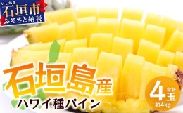 【ふるさと納税】【先行予約】石垣島産 ハワイ種 パイン (4玉 約4？) 《6月上旬頃より順次発送》【 産地直送 沖縄 石垣 パイナップル フ