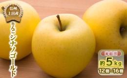 【ふるさと納税】【信州上田産】りんご シナノゴールド 家庭用 約5kg（12個〜16個）