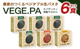 【ふるさと納税】生パスタ スパゲティ マカロニ 野菜パスタ 6食 ベジタブルパスタ ベジパ 農家がつくる ほうれん草 にんじん かぼちゃ 米