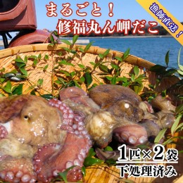 【ふるさと納税】D3-11 修福丸ん岬だこ 丸ごと 2匹 下処理済み 約1.2kg