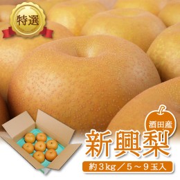 【ふるさと納税】SA2131　酒田産【特選】新興梨　約3kg(5〜9玉入)