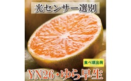 【ふるさと納税】家庭用　極早生有田みかん5kg+150g（傷み補償分）【YN26・ゆら早生】【わけあり・訳あり】＜9月中旬より順次発送予定＞