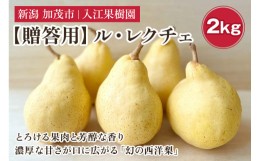 【ふるさと納税】【2024年先行予約】【贈答用】幻の洋梨 ル・レクチェ 2kg（5〜7玉） 《11月下旬から順次発送》 化粧箱入り 果物 フルー