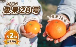 【ふるさと納税】【12月中旬から発送】 愛果28号 (家庭用) 約2kg | 予約販売 みかん 柑橘 あいか 早期予約 蜜柑 みかん 愛媛県 松山市