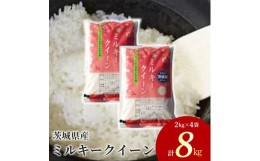 【ふるさと納税】茨城県産 ミルキークイーン 精米8kg（2kg×4袋）｜ミルキークイーンは粘りが強くかつ柔らかいお米。冷めても美味しいも