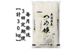 【ふるさと納税】＜毎月定期便＞大分のお米　大分県産つや姫5kg×2(日出町)全3回【4050496】