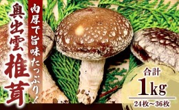 【ふるさと納税】「奥出雲椎茸」箱入 【椎茸 生しいたけ 24枚〜36枚 1kg 肉厚 収穫直後 新鮮 旨味たっぷり 菌床栽培 国産 きのこ キノコ 