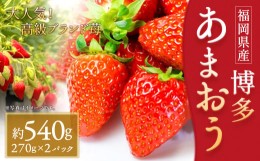 【ふるさと納税】いちご「あまおう」 約270g×2パック 合計 約540g【2025年1月下旬〜3月下旬発送】