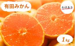 【ふるさと納税】和歌山県産 有田みかん 1kg 訳あり ※2024年10月下旬〜2025年1月中旬頃に順次発送予定（お届け日指定不可)