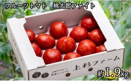 【ふるさと納税】甘さにうっとりフルーツトマト（桃太郎ファイト）約1.9kg12〜16玉入り