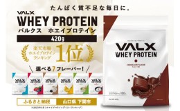 【ふるさと納税】【チョコレート風味】VALX ホエイプロテイン 420g