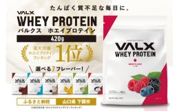 【ふるさと納税】【ベリー風味】VALX ホエイプロテイン 420g