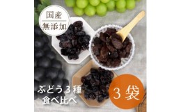 【ふるさと納税】シャインマスカット 巨峰 ピオーネ のレーズン 30g×3袋 食べ比べセット 無添加、砂糖不使用【1508439】