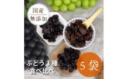 【ふるさと納税】シャインマスカット 巨峰 ピオーネ のレーズン 30g×5袋 食べ比べセット 無添加、砂糖不使用【1508443】