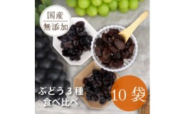 【ふるさと納税】シャインマスカット 巨峰 ピオーネ のレーズン 30g×10袋 食べ比べセット 無添加、砂糖不使用【1508446】