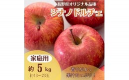 【ふるさと納税】りんご シナノドルチェ 約5kg 家庭用(13玉〜23玉)【1495967】