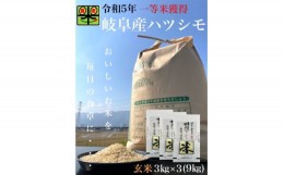 【ふるさと納税】岐阜県養老町産　令和5年産　ハツシモSL　玄米　3kg×3(9kg)【1499301】