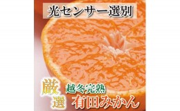 【ふるさと納税】＜先行予約＞厳選 越冬完熟みかん1.5kg+45g（傷み補償分）ハウスみかん・木熟みかん【光センサー選別】＜1月より発送＞