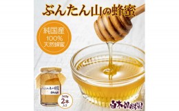 【ふるさと納税】爽やかな香り広がる100%天然蜂蜜 ぶんたん山の蜂蜜　360g 2本入り はちみつ ハチミツ 高知県産 国産 天然はちみつ 土佐 