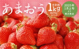 【ふるさと納税】福岡県産 あまおう 合計約1,080g 約270g×4パック 【2025年1月上旬〜1月下旬発送】