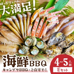 【ふるさと納税】大満足！京丹後・海鮮BBQ　Eセット　豪華盛り合わせ　生ズワイガニ　付　6種21品（4〜5人前）