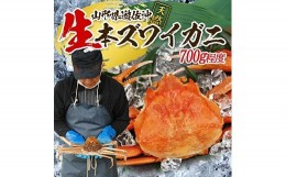 【ふるさと納税】854　遊佐沖　生・本ズワイガニ 1匹 700g程度