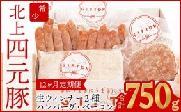 【ふるさと納税】【定期便12ヶ月】GIFTON 岩手県産四元豚 グルメセットA 750g ハンバーグ ウィンナー ベーコン  【1902】