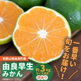 【ふるさと納税】BB6203_先行予約 和歌山由良町産 由良早生みかん 約3kg  訳あり キズ 御家庭用 サイズ混合