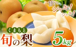 【ふるさと納税】くまもと 旬の 梨 約 5kg | フルーツ 果物 くだもの なし ナシ 梨 旬 熊本県 玉名市