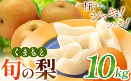 【ふるさと納税】くまもと 旬の 梨 約 10kg | フルーツ 果物 くだもの なし ナシ 梨 旬 熊本県 玉名市