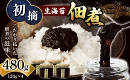 【ふるさと納税】初摘 生海苔 佃煮 120g×4 | 魚貝類 海産物 海の幸 海苔 のり 海苔の佃煮 熊本県 玉名市