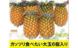 【ふるさと納税】【先行予約】黄金パイン大玉6個入 計9.0kg 《6月下旬より順次発送》【 産地直送 沖縄 石垣 フルーツ パイナップル パイ