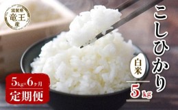 【ふるさと納税】【 先行予約 】令和6年産 新米 予約 こしひかり 白米 5kg 定期便 6ヶ月 コシヒカリ 定期 6か月  5kg × 6回 計 30kg 米 