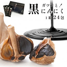 【ふるさと納税】ガツンと！ 黒にんにく ペースト 大蒜 舞鶴産黒ニンニク【送料無料】