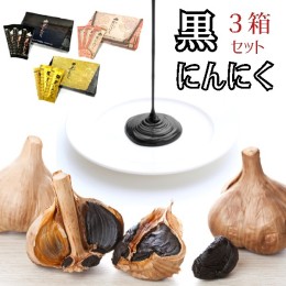 【ふるさと納税】黒にんにく 3種類 セット ペースト 大蒜 舞鶴産黒ニンニク【送料無料】