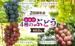 【ふるさと納税】【東御こもだ果樹園】家庭用旬の４種のぶどう２回頒布会（シャインマスカット、ナガノパープル、クイーンセブン、クイー