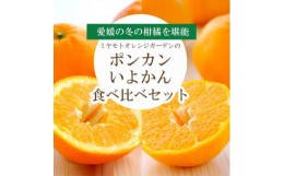 【ふるさと納税】愛媛の柑橘詰め合わせ ポンカン2.5kg・いよかん2kg食べ比べセット＜訳あり＞＜C25-96＞【1356827】