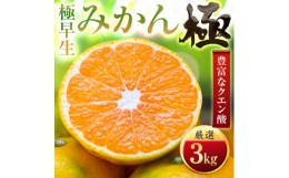 【ふるさと納税】＜太陽をたっぷり浴びた＞極早生みかん＜極＞3kg＜C49-31＞【1508889】