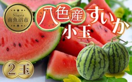 【ふるさと納税】八色産 小玉 すいか 2玉【7月下旬より順次発送予定】 フルーツ 果物 人気 スイカ お取り寄せ ギフト 期間限定 新潟県 南