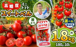 【ふるさと納税】【6月発送】 高糖度 ミニトマト スイートベル （ 房どり ） 180g × 10P | 野菜 トマト ミニトマト プチトマト トマト 