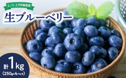 【ふるさと納税】【先行予約：2024年7月中旬以降発送】生ブルーベリー1kg