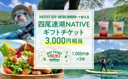 【ふるさと納税】四尾連湖 NATIVEギフトチケット3,000円券　native surf[5839-2051]