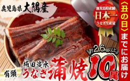 【ふるさと納税】【丑の日までに配送】楠田の極うなぎ 蒲焼き 260g以上×10尾(計2.6kg以上) wa24-003-us