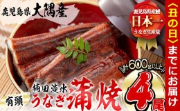 【ふるさと納税】【丑の日までに配送】楠田の極うなぎ 蒲焼き150g以上×4尾(計600g以上) b6-011-us