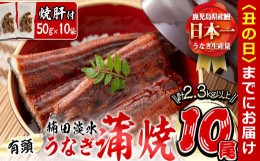 【ふるさと納税】【丑の日までに配送】楠田の極うなぎ蒲焼き 230g以上×10尾(計2.3kg以上) 焼肝10袋付き wa24-004-us